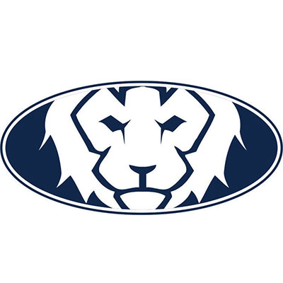 Lakeview Academy Logo