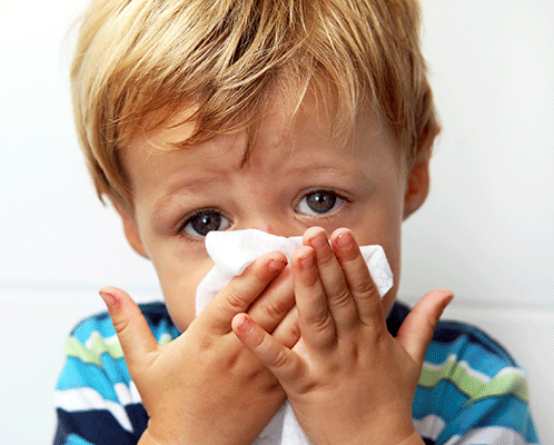 sick child holding a tissue over his nose